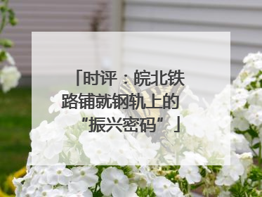 时评：皖北铁路铺就钢轨上的“振兴密码”