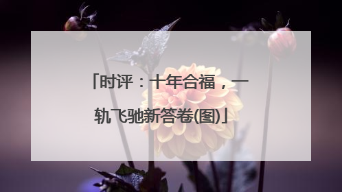 时评：十年合福，一轨飞驰新答卷(图)