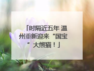 时隔近五年 温州重新迎来“国宝”大熊猫！