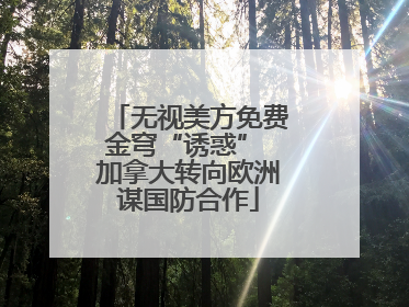 无视美方免费金穹“诱惑” 加拿大转向欧洲谋国防合作