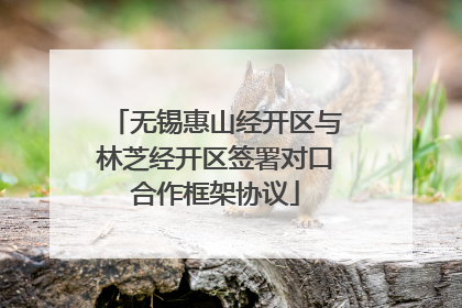 无锡惠山经开区与林芝经开区签署对口合作框架协议