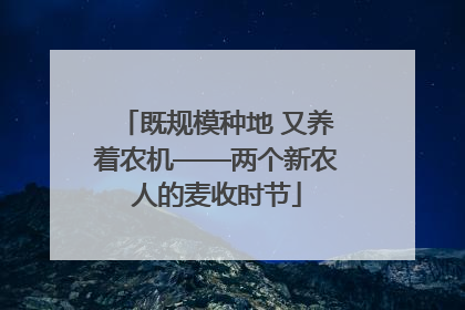 既规模种地 又养着农机——两个新农人的麦收时节