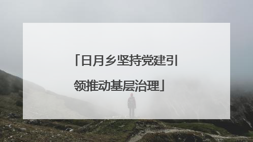 日月乡坚持党建引领推动基层治理