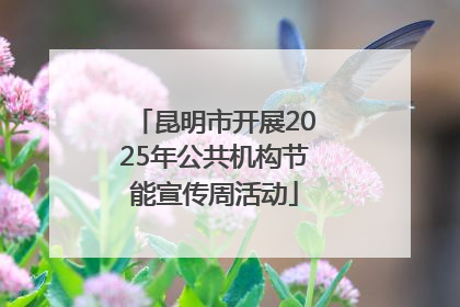 昆明市开展2025年公共机构节能宣传周活动