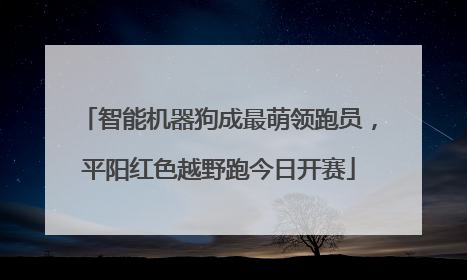智能机器狗成最萌领跑员，平阳红色越野跑今日开赛