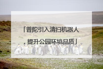普陀引入清扫机器人，提升公园环境品质