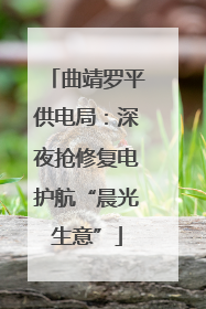 曲靖罗平供电局：深夜抢修复电护航“晨光生意”