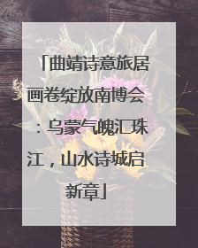 曲靖诗意旅居画卷绽放南博会：乌蒙气魄汇珠江，山水诗城启新章