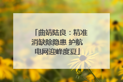曲靖陆良：精准消缺除隐患 护航电网迎峰度夏