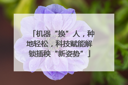机器“换”人，种地轻松，科技赋能解锁插秧“新姿势”