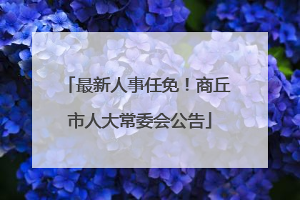 最新人事任免！商丘市人大常委会公告