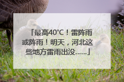 最高40℃！雷阵雨或阵雨！明天，河北这些地方雷雨出没……