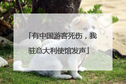 有中国游客死伤，我驻意大利使馆发声