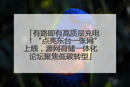 有路即有高质量充电！“点亮东台一张网”上线，源网荷储一体化论坛聚焦低碳转型
