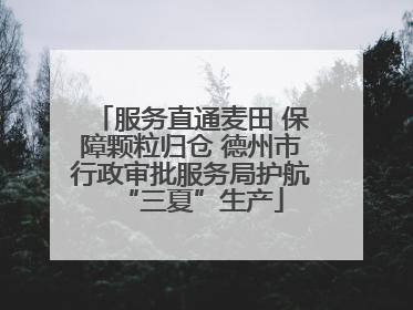 服务直通麦田 保障颗粒归仓 德州市行政审批服务局护航“三夏”生产