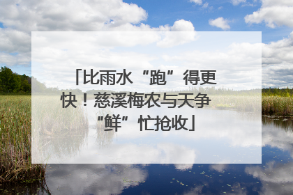 比雨水“跑”得更快！慈溪梅农与天争“鲜”忙抢收