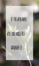 毛伟明在娄底市调研