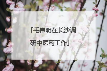 毛伟明在长沙调研中医药工作