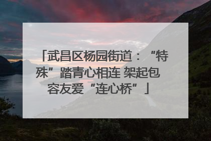 武昌区杨园街道：“特殊”踏青心相连 架起包容友爱“连心桥”