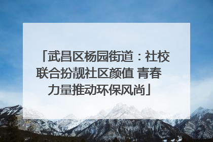 武昌区杨园街道：社校联合扮靓社区颜值 青春力量推动环保风尚