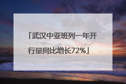 武汉中亚班列一年开行量同比增长72%