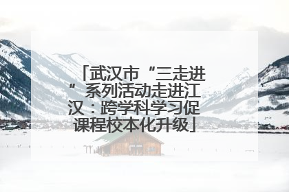 武汉市“三走进”系列活动走进江汉：跨学科学习促课程校本化升级