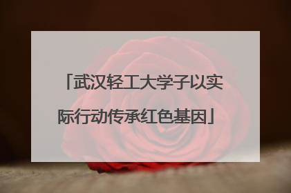 武汉轻工大学子以实际行动传承红色基因