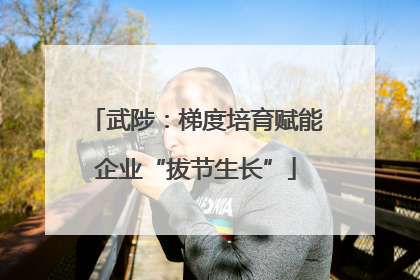 武陟：梯度培育赋能企业“拔节生长”