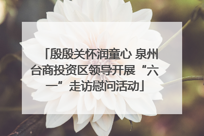 殷殷关怀润童心 泉州台商投资区领导开展“六一”走访慰问活动