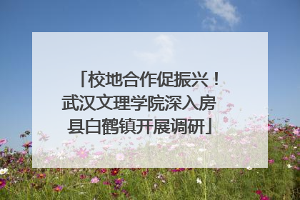 校地合作促振兴！武汉文理学院深入房县白鹤镇开展调研