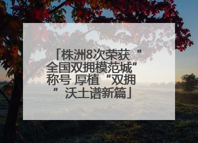 株洲8次荣获“全国双拥模范城”称号 厚植“双拥”沃土谱新篇