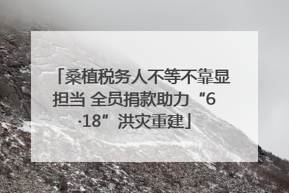桑植税务人不等不靠显担当 全员捐款助力“6·18”洪灾重建