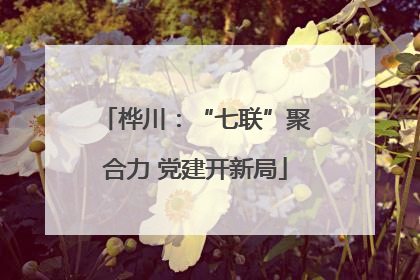 桦川：“七联”聚合力 党建开新局