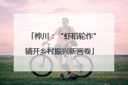 桦川：“虾稻轮作”铺开乡村振兴新画卷