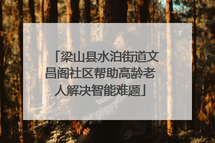 梁山县水泊街道文昌阁社区帮助高龄老人解决智能难题