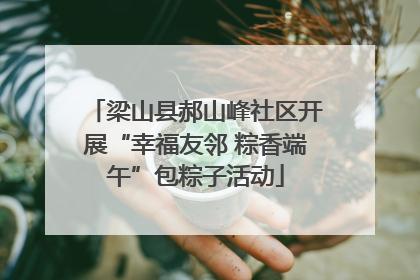 梁山县郝山峰社区开展“幸福友邻 粽香端午”包粽子活动