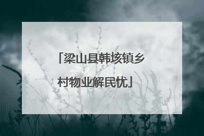梁山县韩垓镇乡村物业解民忧