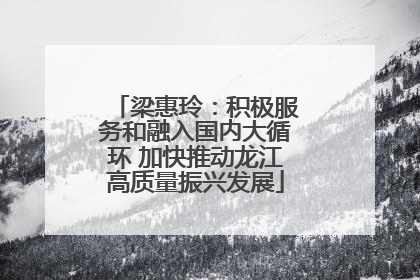 梁惠玲：积极服务和融入国内大循环 加快推动龙江高质量振兴发展