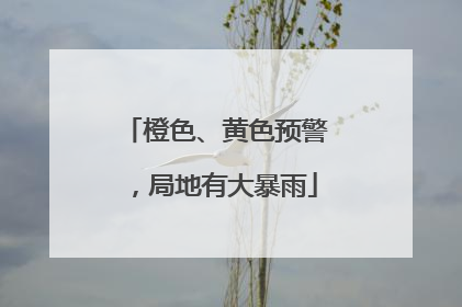 橙色、黄色预警，局地有大暴雨