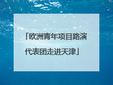 欧洲青年项目路演代表团走进天津