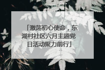 激荡初心使命，东湖村社区六月主题党日活动聚力前行