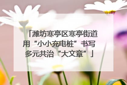 潍坊寒亭区寒亭街道用“小小充电桩”书写多元共治“大文章”