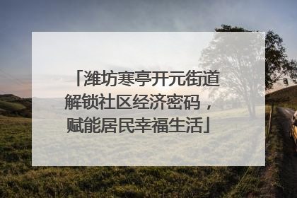 潍坊寒亭开元街道解锁社区经济密码，赋能居民幸福生活