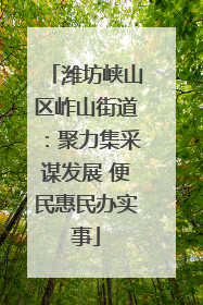 潍坊峡山区岞山街道：聚力集采谋发展 便民惠民办实事