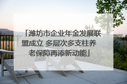 潍坊市企业年金发展联盟成立 多层次多支柱养老保障再添新动能