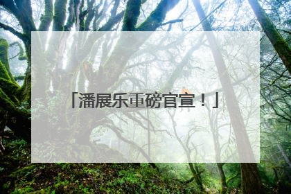 潘展乐重磅官宣！