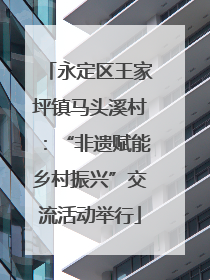 永定区王家坪镇马头溪村：“非遗赋能乡村振兴”交流活动举行