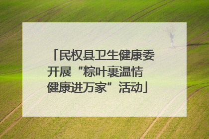 民权县卫生健康委开展“粽叶裹温情 健康进万家”活动