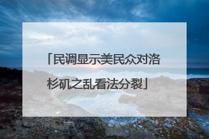 民调显示美民众对洛杉矶之乱看法分裂