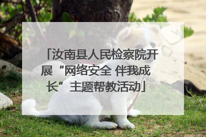 汝南县人民检察院开展“网络安全 伴我成长”主题帮教活动